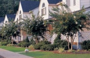 Powhatan Plantation Resort Williamsburg