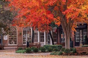 A store front with trees that are turning orange and yellow