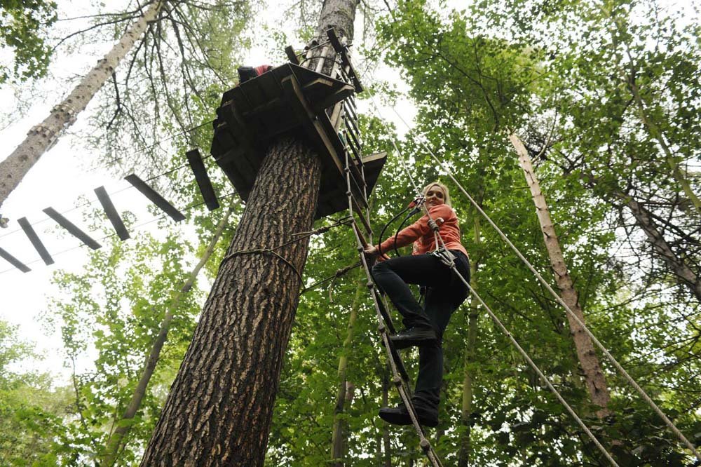 Women walking up a rope ladder while ziplining in the woods